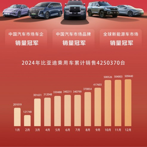 2024新能源车企成绩单：比亚迪夺冠，多家车企销量创新高